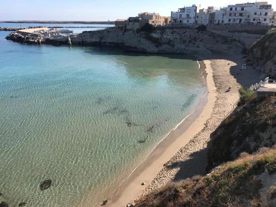 Il Moro - Casa Vacanze 泰拉西尼 外观 照片