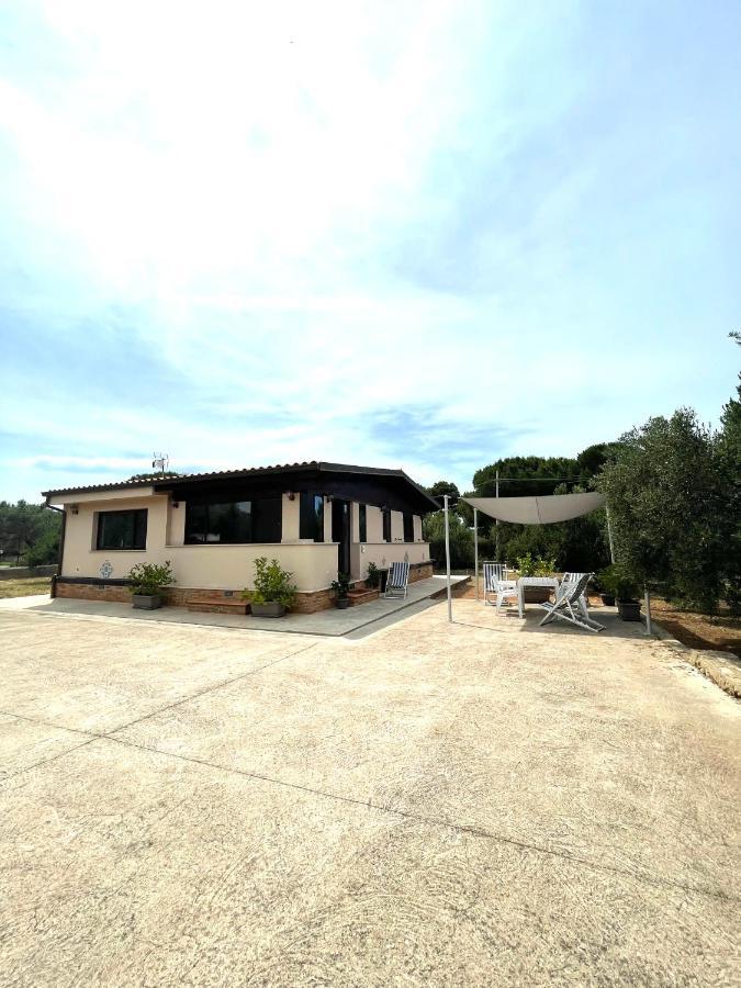 Il Moro - Casa Vacanze 泰拉西尼 外观 照片