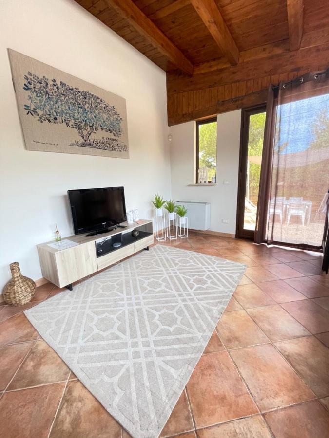 Il Moro - Casa Vacanze 泰拉西尼 外观 照片