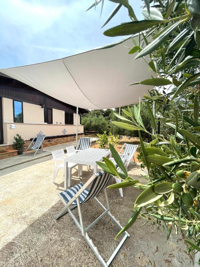 Il Moro - Casa Vacanze 泰拉西尼 外观 照片